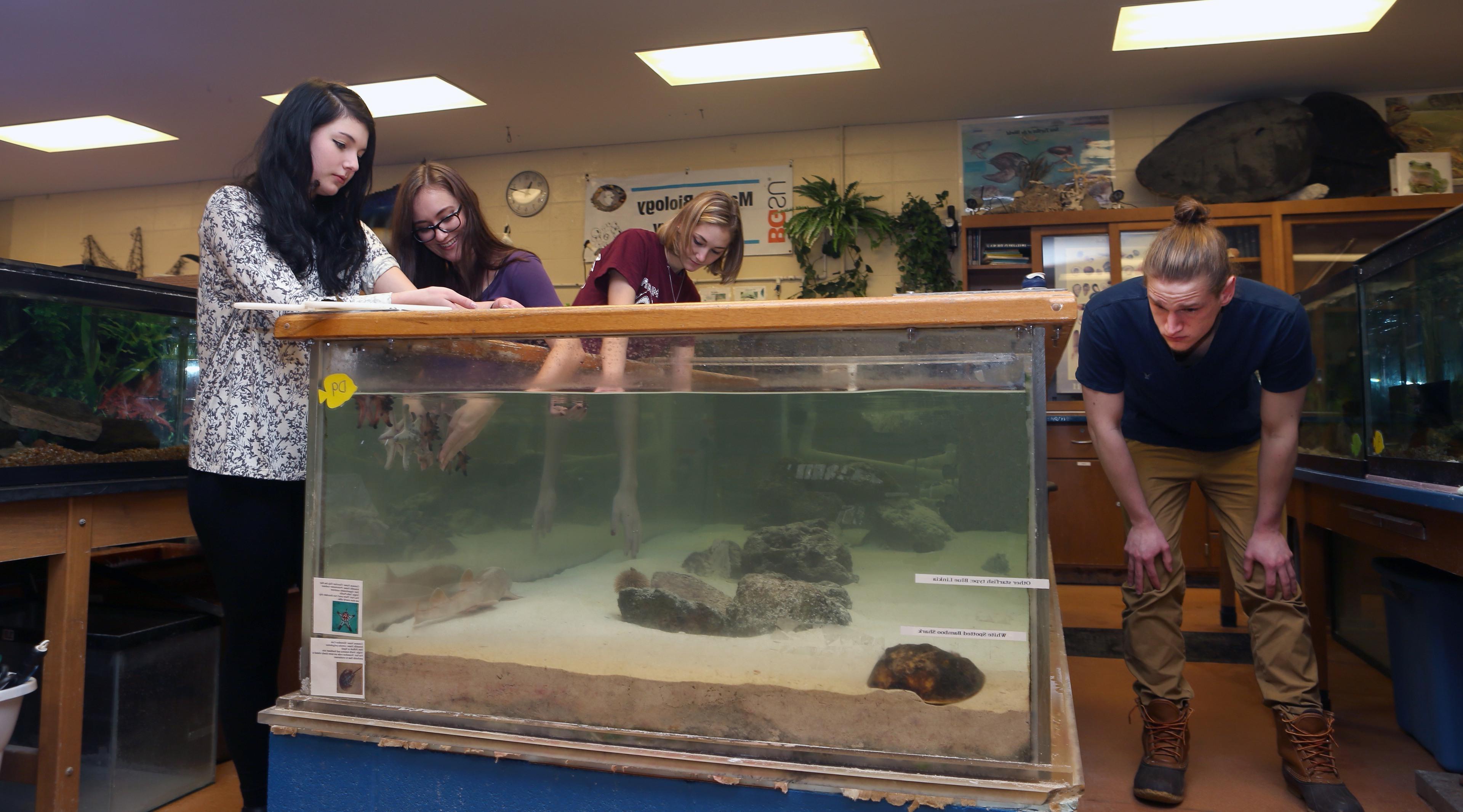 海洋和生物专业的学生在实验室里观察一个水箱